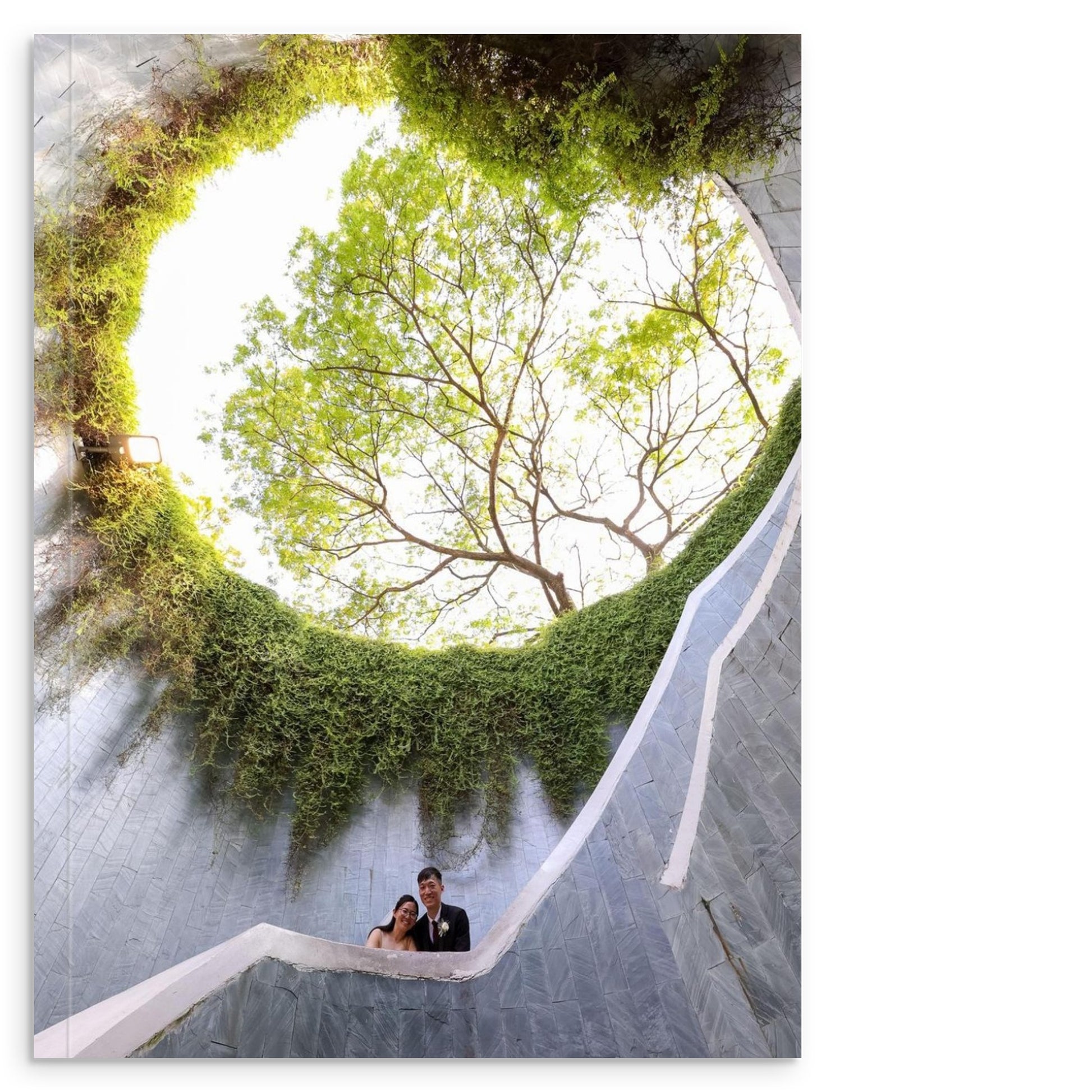 155bbbf7-6d61-4334-9ff2-d51bef4e2708